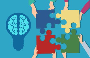 开云体育链接-中小学课程内容创新，中小学创新教育